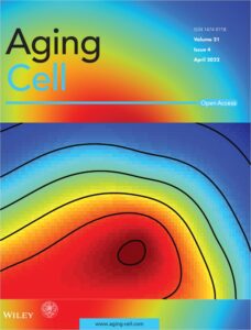 Aging Cell 2022-04