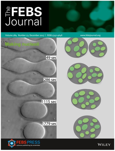 FEBS Journal 2017-12